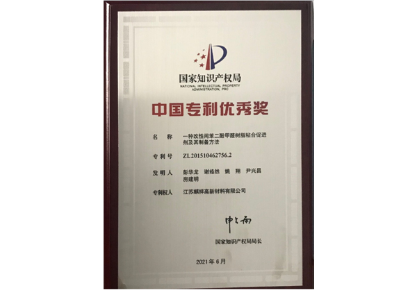 中國專利優秀獎